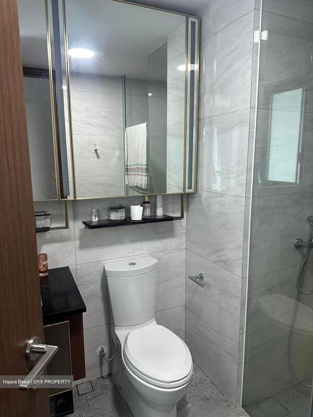 Normanton Park (D5), Apartment #524668791